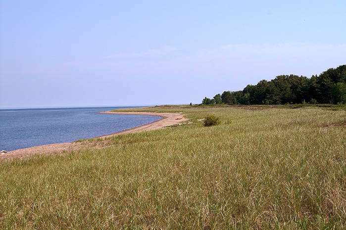 Outer Island Sandspit